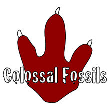 Colossal Fossils